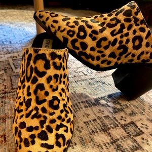 Steve Madden Savina leopard mules
